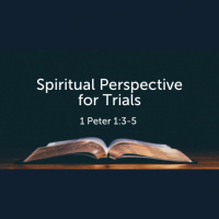 Spiritual Perspective for Trials (1 Peter 1:3-5) (Audio)
