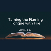 Taming the Flaming Tongue with Fire (Audio)