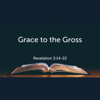 Grace to the Gross (Audio)