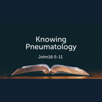 Knowing Pneumatology John 16:5-11 (Audio)