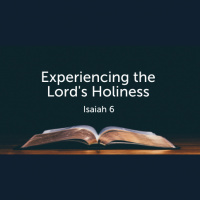 Experiencing the Lords Holiness (Isaiah 6) (Audio)