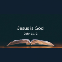 Jesus is God (John 1) (Audio)