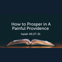 How to Prosper in A Painful Providence (Isaiah 40:27-31) (Audio)