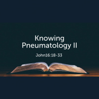 Knowing Pneumatology II John 16:18-33 (Audio)