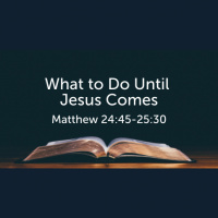 What to Do Until Jesus Comes (Matthew) (Audio)