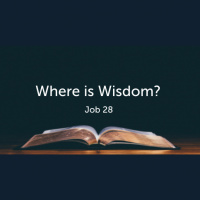 Where is Wisdom? (Job 28) (Audio)