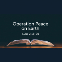 Operation Peace on Earth (Luke 2) (Audio)