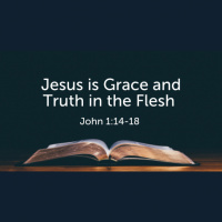 Jesus is Grace and Truth in the Flesh (John 1) (Audio)