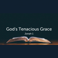 Gods Tenacious Grace (Audio)