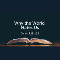Why the World Hates Us (John 15-16) (Audio)