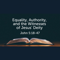 Equality, Authority, and the Witnesses of Jesus Deity (John 5) (Audio)