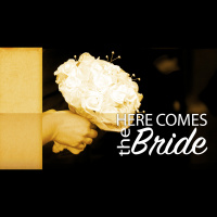 And I Pledge You My Faithfulness - By Gods Design (Audio)