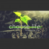 Choose Life (Audio)