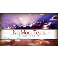 No More Tears (Audio)