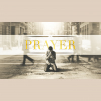 Introduction (Audio)