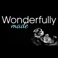 Wonderfully Made (Audio)