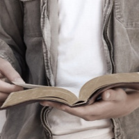 Fruit Reveals The Root (Luke Series)