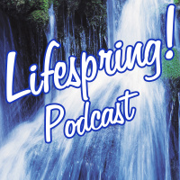 Lifespring!213 “How Does the SCOTUS Decision On Same Sex Marriage Affect Every U.S. Citizen?”