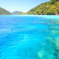 Important Tips for Snorkling - Episode 22