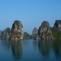 Mind over Metabolism