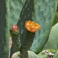 5 Travel Tips for Flying