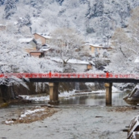 Immune Boosting  Flu 