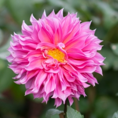 Gems Of Health With Dr. Jessica Jordan