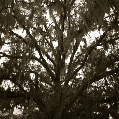 Wsnk Valdosta Community Podcast