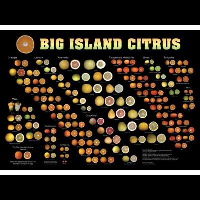 Ask Herbal Health Expert Susun Weed