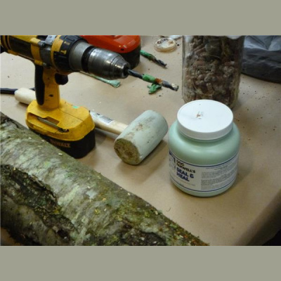 Ask Herbal Health Expert Susun Weed