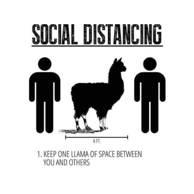 Ask Herbal Health Expert Susun Weed