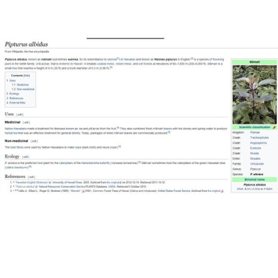 Ask Herbal Health Expert Susun Weed