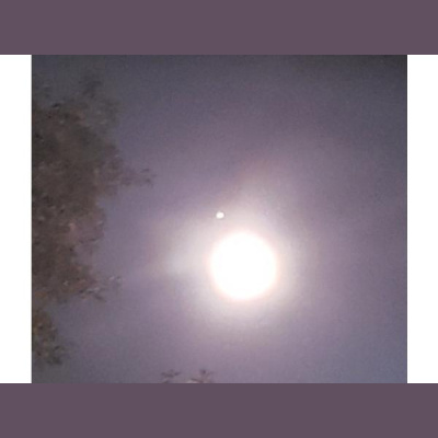 Ask Herbal Health Expert Susun Weed