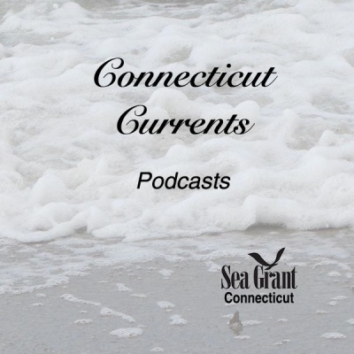 Connecticut Currents