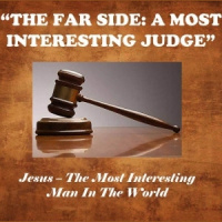 The Far Side: A Most Interesting Judge - Audio