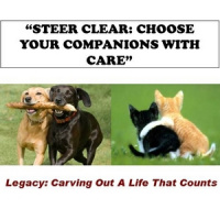 Steer Clear - Choose Your Companions with Care - Audio