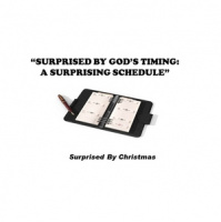 SURPRISED BY GOD#x2019S TIMING #x2013 A SURPRISING SCHEDULE - Audio