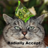 DBT Therapy Focus Podcast