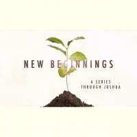 Holding Fast to God (Audio)