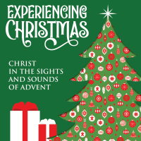 Episode 288: Experiencing Christmas - Do You See What I See?