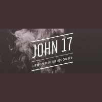 Episode 195 – John 17, Part 1 (John 17:1-5)