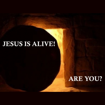 John - The Jesus Is Gospel