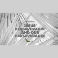 Jesus Perseverance and Our Perseverance