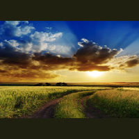 Is Life on Earth an Accident? - Episode 28