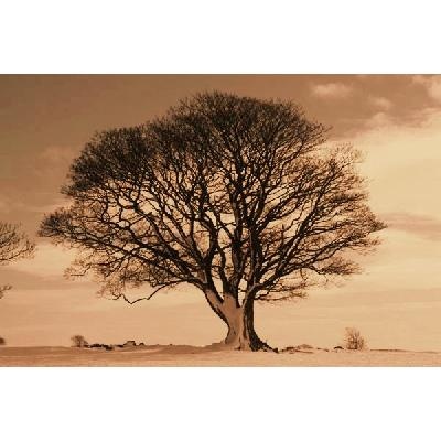 Is All Sin The Same To God?