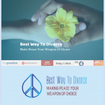 Alternative Divorce Radio Show