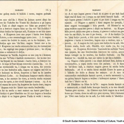 Rift Valley Institute