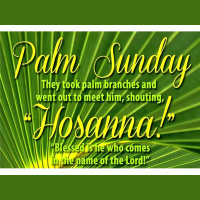 ** Jesus, Triumphant Entry ** ~ Replay ~