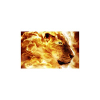 Thinking About Going To Bible College?