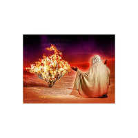 Twelve Pillars Of Faith- Hearts On Fire